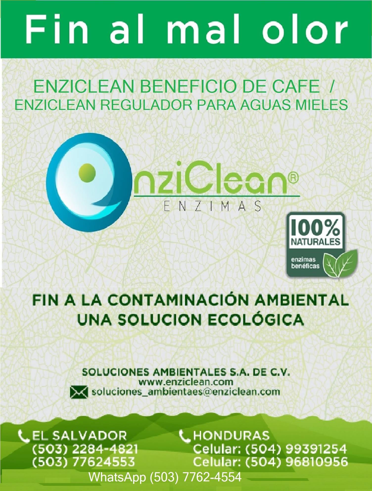 Enziclean beneficio de café