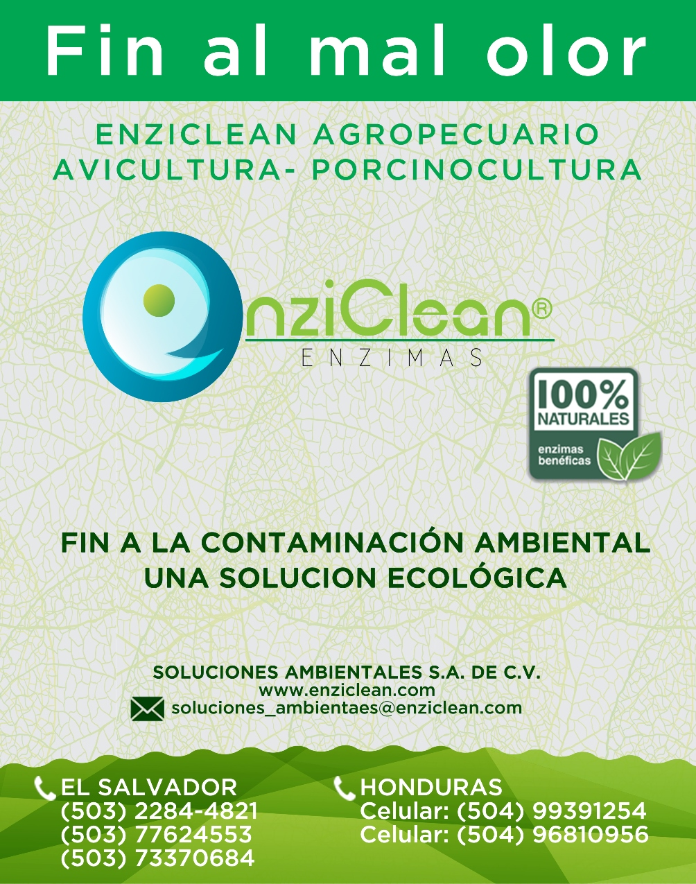 Enziclean Agropecuario granjas de cerdos